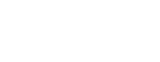 Levis Paints